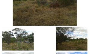 Vacant Land for Sale at 3 Krag Street, Napier