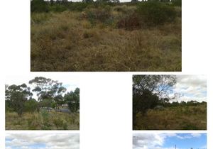 Vacant Land for Sale at 3 Krag Street, Napier