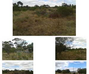 Vacant Land for Sale at 3 Krag Street, Napier