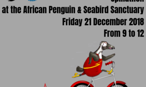 The Great Penguin Peddle Spinathon