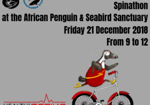 The Great Penguin Peddle Spinathon