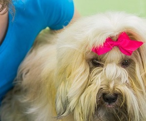 Closed for the holidays from 21 December!