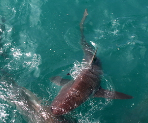 Daily Blog 18 December 2018