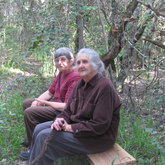 Forest Walk for young and old, Platbos Forest