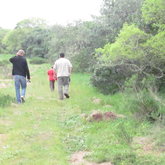 A perfect family outing: Platbos Forest