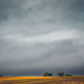 Herman von Bon Photography - Napier