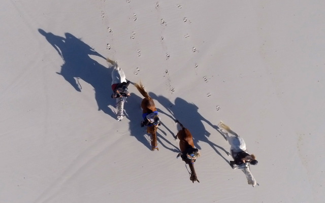 Gansbaai & Pearly Beach Horse Trails