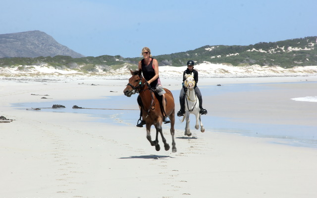 Gansbaai & Pearly Beach Horse Trails