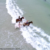 Gansbaai & Pearly Beach Horse Trails