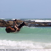 Gansbaai & Pearly Beach Horse Trails
