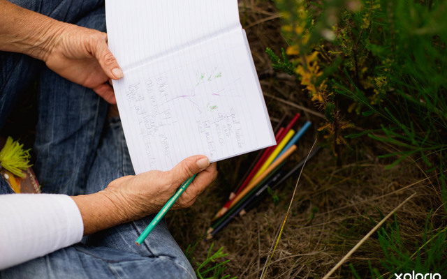 cure_for_fynbos_blindness_notebooks_replaces_cameras_1527501577_1547618185 cure_for_fynbos_blindness_notebooks_replaces_cameras_1527501577_1547618185