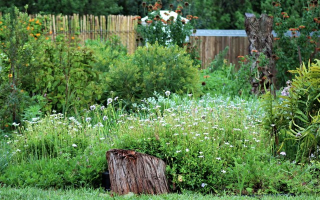 img_0943_orig_1547618810 img_0943_orig_1547618810