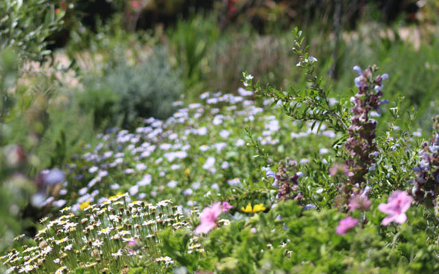 img_1495_orig_1547618809 img_1495_orig_1547618809