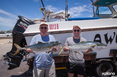 struisbaai_awesome_charters_fish_caught_close_up_1548145206