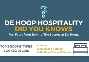 Looking Back on 2018!