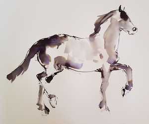 Jenny Jackson's Gallery 19