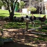 Bird Song Cottage at Town and Country Guesthouse