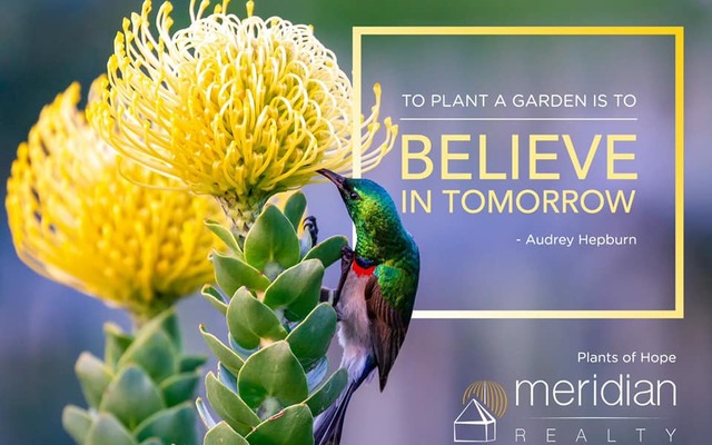 50687351_2893394670678074_3197407902658723840_n_1549348707