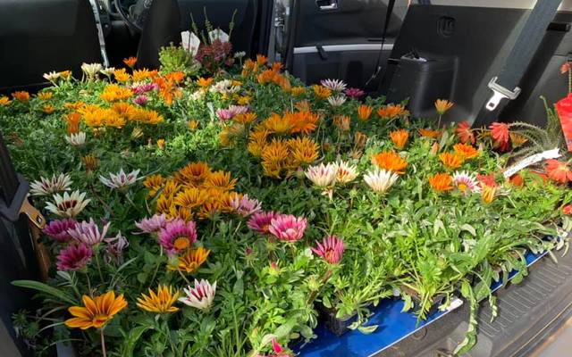 50989349_2893394634011411_1168658758700630016_n_1549348708