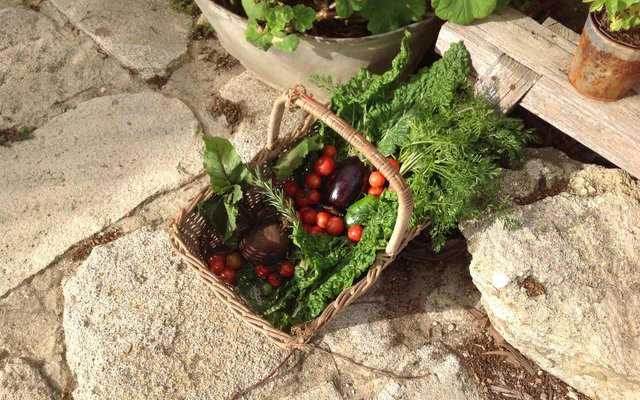 30051640_1870949969606587_8238663695606066244_o_1549364618 30051640_1870949969606587_8238663695606066244_o_1549364618