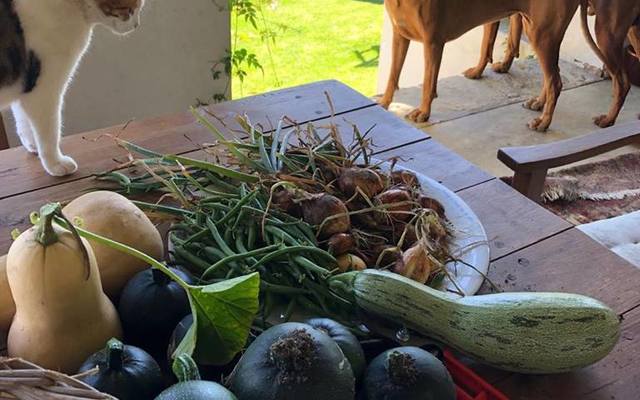 49373611_2240806179287629_458390314629988352_n_1549364617 49373611_2240806179287629_458390314629988352_n_1549364617