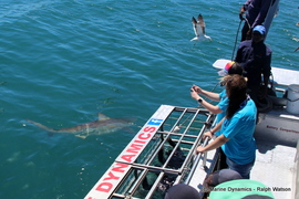 Daily Blog 05 February 2019