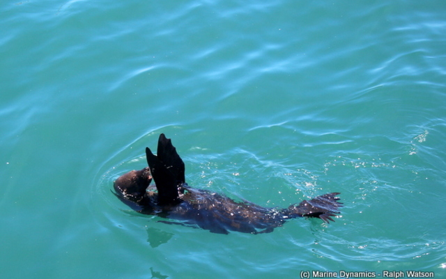 20190205_SF_Trip1_RWatson_IMG136_1549456120