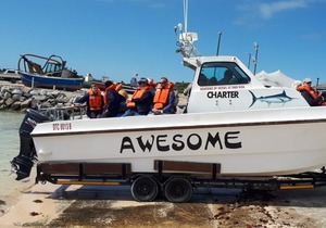 Southern Right Whales