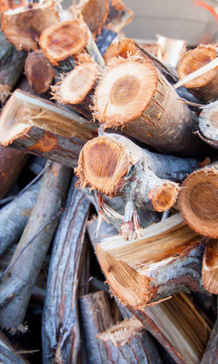 struisbaai_charlies_transport_movers_wood_supply_close_up_1549616378