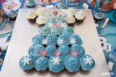 bredasdorp_cake_delights_frozen_cupcake_dress_1550231048