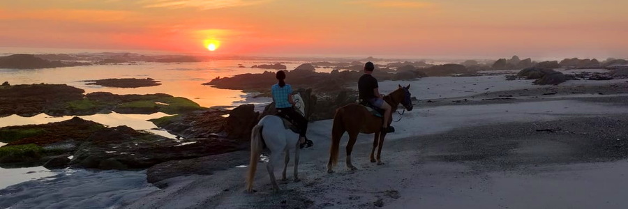 Gansbaai & Pearly Beach Horse Trails