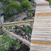Wooden pathway