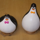 Calabash penguins