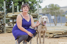 bredasdorp_building_construction_fynbos_pole_depot_owner_1551170385