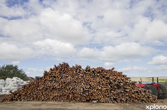 bredasdorp_building_construction_fynbos_pole_depot_poles_1551171046