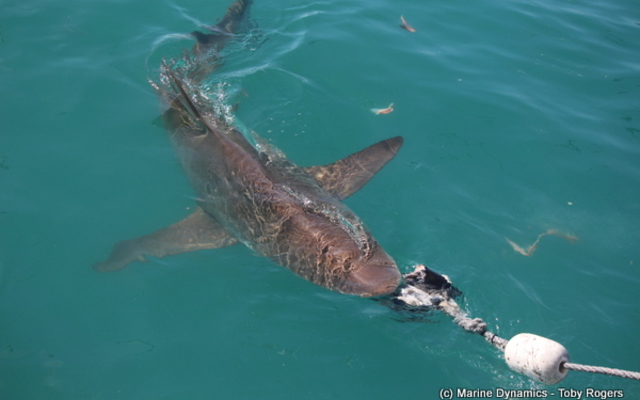 48926501_2050755091670812_7066097104665444352_n_1551251276 48926501_2050755091670812_7066097104665444352_n_1551251276