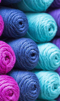 napier_speciality_habby_shack_and_fragrant_food_cafe_premier_cotton_1551264080