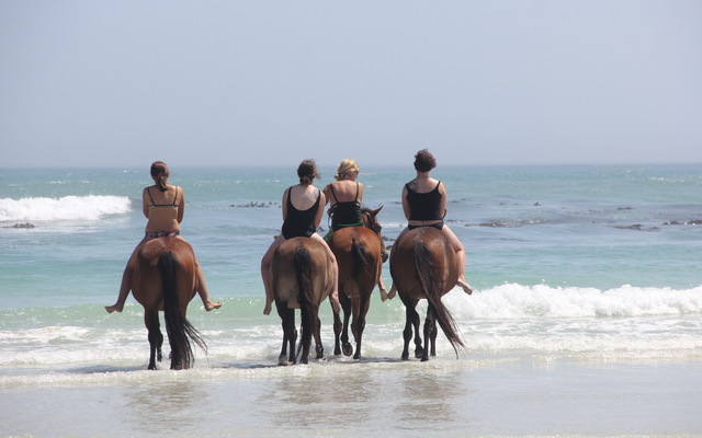 Gansbaai & Pearly Beach Horse Trails