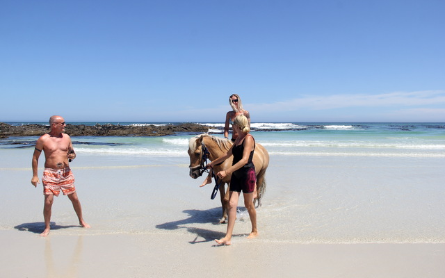 Gansbaai & Pearly Beach Horse Trails