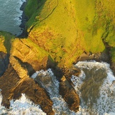 Lloyd Koppel Videographer