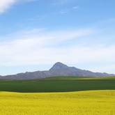 Lloyd Koppel Videographer