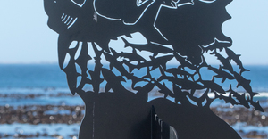 Beauty of the Overberg