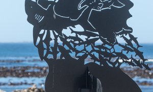 Beauty of the Overberg