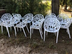 Coated Chairs Before & After