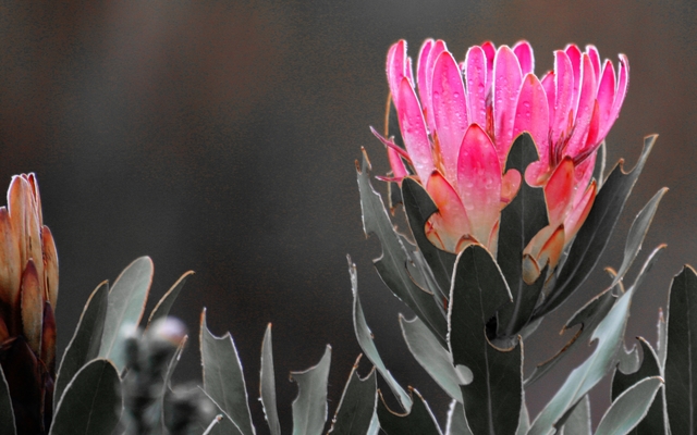 farm_215_nature_6_1513256944_1551943420 farm_215_nature_6_1513256944_1551943420