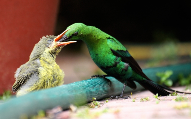 farm_215_nature_9_1513257688_1551943419 farm_215_nature_9_1513257688_1551943419