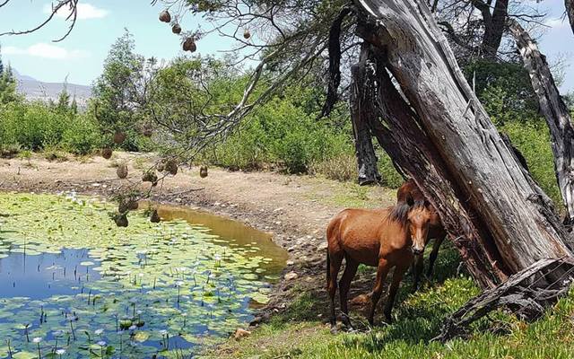 50448741_787041748320595_8343189068737150976_n_1570020439 50448741_787041748320595_8343189068737150976_n_1570020439