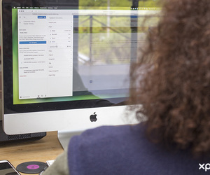 WordPress Websites & Management