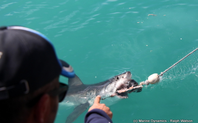 20190312_SF_Trip1_RWatson_IMG095_1552466289