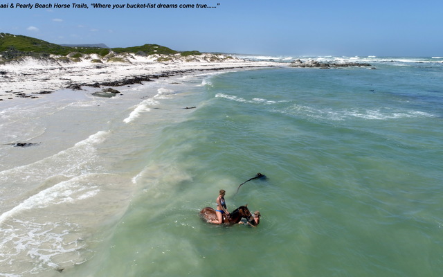 Gansbaai & Pearly Beach Horse Trails